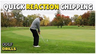 Quick Reaction Chipping Golf Drill [upl. by Nodyl]