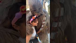 I finally met Chewbacca chewbacca starwars shorts [upl. by Erving662]