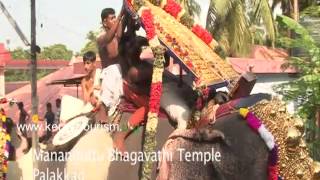 Mangottu Bhagavathy Temple Elephant Procession [upl. by Ainatnas]