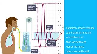 Gcse Pe Paper 1 Understanding Spirometer Traces [upl. by Dilks]