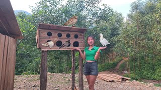 cultivating cassava how to make wooden pigeon coops  building a farm  1 year living in the forest [upl. by Vtehsta]