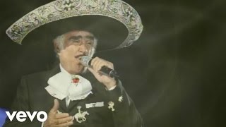 Vicente Fernández Mariachi México de Pepe Villa  Aprendiste A Volar Audio [upl. by Eidoow159]