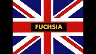 How to pronounce quot Fuchsia quot in English Authentic British accent [upl. by Ydal]