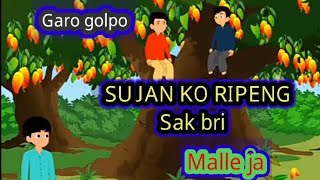 Sujan na ripeng sak bri tegat chu chana onja  garo cartoon Video  Garo golpo [upl. by Evol]