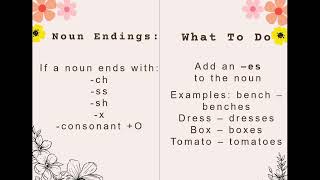 Pluralization of Nouns  Q1 [upl. by Anitniuq]