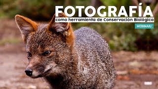 La Fotografía como Herramienta de Conservación Biológica [upl. by Samale100]