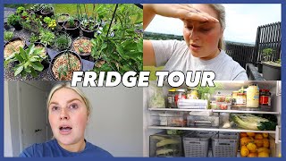 fridge tour amp vegetable gardens 🧊 vlog 727 [upl. by Draper]