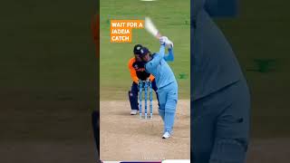 wait for a jadeja CATCH trending subscribe cricketlover jadeja [upl. by Markland]