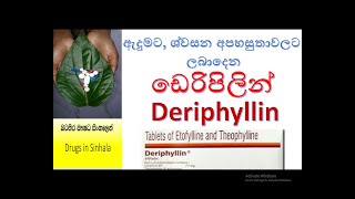 Deriphyllin in sinhala  ඩෙරිපිලින් ගැන දැනගමු [upl. by Zetnod]