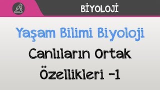 Yaşam Bilimi Biyoloji  Canlıların Ortak Özellikleri 1 [upl. by Amikehs]