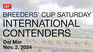 DRF Breeders Cup International Contenders 2024 [upl. by Haral55]