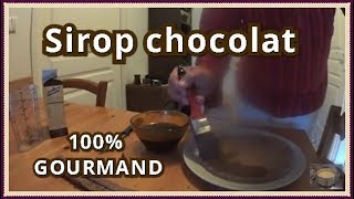 Sirop au chocolat pour imbiber génoise et gâteaux [upl. by Glanti]