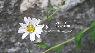 🅻🆄🅲🅺 Number • Lottery Winner’s Daily Lucky Affirmation Meditation • Relaxing Music Piano [upl. by Aenej]