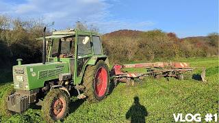 Zwischenfrucht mähen  Farmer 106 LS an der Leistungsgrenze  FarmVlog 1 [upl. by Aretina483]