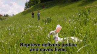 Come Little Rabbit by Akmal Shaikh mentally ill Briton facing death in China [upl. by Ilyah848]