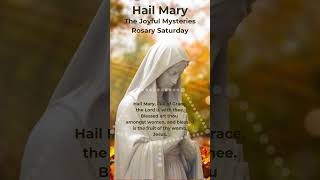 Hail Mary  Rosary Prayer  Rosary Saturday  Joyful Mysteries with Ave Maria Piano hailmary [upl. by Ndnarb37]