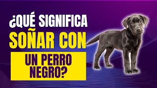 ¿Qué significa soñar con un perro negro significadodelossueños sueños quesignificasoñarcon [upl. by Hillell]