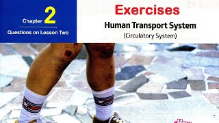 Sec 2\ Biology 1st term\ Chapter 2\ Lesson 2 Human transport system  exercises بايو ثانية ثانوى [upl. by Ameehs575]