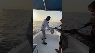 fishing microjigging jigging tightlines stormfishing shimanofishing fishinguae [upl. by Ydderf]