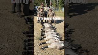 Early season goose hunt 18 birds down goosehunting waterfowlhunting featherandfieldreviews [upl. by China474]