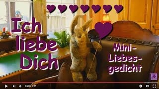 FG166 💜 Liebeserklärung für alle Fälle 💜 Ich liebe dich 💜 MiniLiebesgedicht 💜 Gedicht mit Schnuffel [upl. by Ellirehs370]