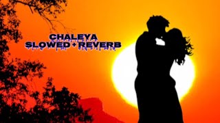 CHALEYA SLOWED  REVERB [upl. by Naletak]