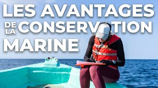 Les avantages de la conservation marine [upl. by Theodore231]