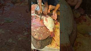 Amazing Great Delicious Tilapia Fish Cutting Techniques  Fish Cutting Skills 😲 shorts [upl. by Wehtam]