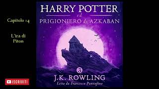 Harry Potter e il Prigioniero di Azkaban Audiolibro Italiano letto da Francesco Pannofino Capitolo14 [upl. by Lynna260]