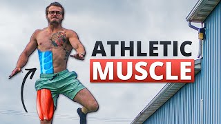 The Best Exercise To Build Athletic Muscle [upl. by Ignatzia591]