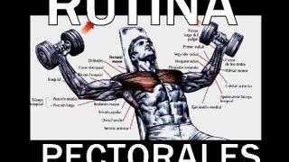 RUTINA DE PECTORALES EN EL GYM EXPLICADO [upl. by Blythe661]