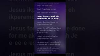 Akamdinelu 🙌 mercychinwo lyrics music ytshortsvideo [upl. by Maye]