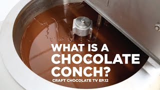 The Chocolate Conch  Episode 12  Craft Chocolate TV [upl. by Ilamad]