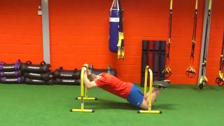 Lebert Fitness Equalizer Tricep Extensions [upl. by Siuoleoj]