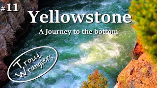 Fly Fishing Yellowstone Canyon A Journey to the Bottom  Trout Wranglers Episode 11 [upl. by Anayet894]