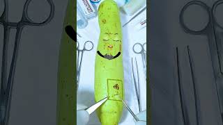 Worms in the Bottle gourd Needs fruit surgery to remove the worms Jidoodle shorts fruitsurgery [upl. by Viglione246]