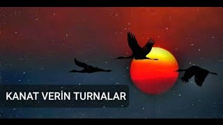 HiraiZerdüş  Kanat verin turnalar  akustik [upl. by Hana976]