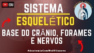 Base do Crânio FORAMES amp NERVOS❗Quais são❗❓DESCUBRA AQUI❗Anatomia Prática [upl. by Marguerite]