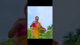 Jhinga Kumru New Santhali Video  Pampa amp Pradeep 2024 [upl. by Karissa]