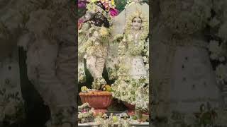 Krishan Mahamantar song hindugoddess radharani krishan bhajan [upl. by Ecirtac]