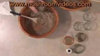 Lets Grow Mushrooms pf tek part 1 [upl. by Mersey704]