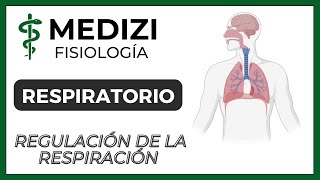 Histología del sistema Respiratorio 1  Vía aérea superior [upl. by Ingham]