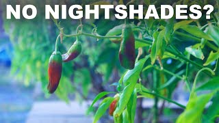 Nightshades probably arent hurting you tomatoes peppers potatoes eggplant etc [upl. by Aldercy]