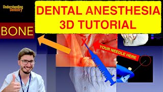 EASY Inferior Alveolar Nerve BLOCK Technique The Best Tutorial 3D IAN dental injection anesthesia [upl. by Bascio]