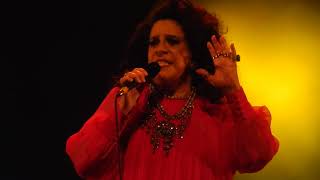 Gal Costa  As curvas da estrada de Santos [upl. by Derfla]