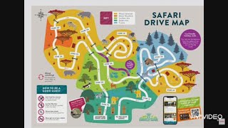 Safari Drive at Knowsley Safari Park Liverpool UK 🇬🇧 🇬🇧  liverpool safari drive driving [upl. by Nnaeerb]