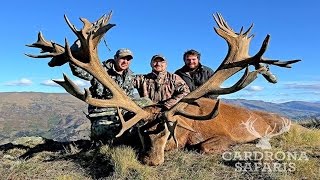 World Class New Zealand Red Stag Hunting With Venator Cardrona Safaris [upl. by Davon564]