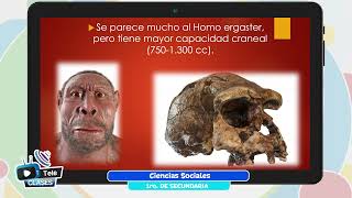 Homo Ergaster y Homo Erectus [upl. by Ver]