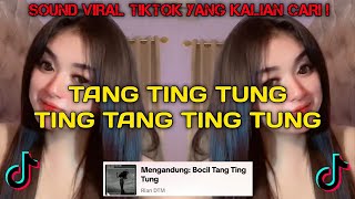 TANG TING TUNG LAGU VIRAL TIKTOK 2024 [upl. by Esteban]