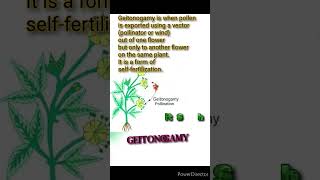 Geitonogamy What is Geitonogamy Define Geitonogamy Definition of Geitonogamy smritisingh [upl. by Allesor]